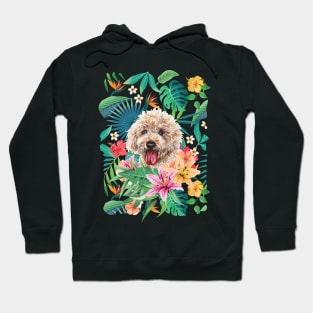 Tropical Apricot Toy Poodle Hoodie